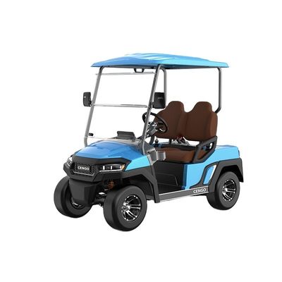 Dobra cena. Przystępna cena elektryczny 2-osobowy golf buggy idealny dla rodziny i polowania na plaży w Internecie