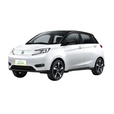 Dobra cena. Model 2023 Pure Electric Car YOUNG 302km Działalność 0,5h Szybkie ładowanie 4 siedzenia Pełna masa ładunku 1080KG Maksymalna moc 35 100km/h w Internecie