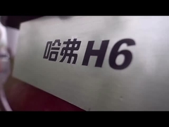 Szybki HAVAL H6 2023 kompaktowy SUV ostateczny wybór na rynku pojazdów paliwowych